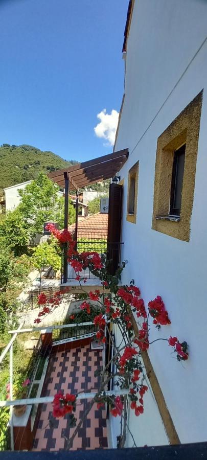 Nikis Apartments Agios Gordios  Zewnętrze zdjęcie